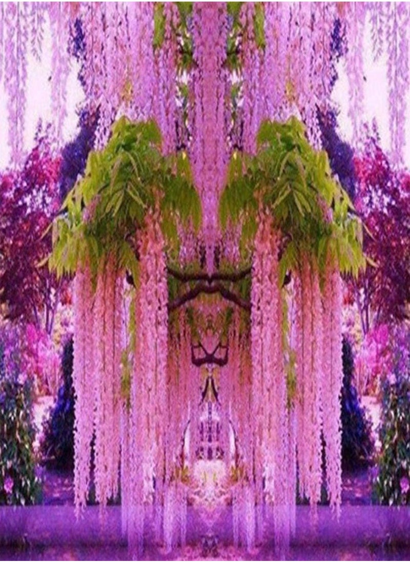 China 100pcs Rare Wisteria sinensis Climber, Hardy  Flower Seeds, Spectacular Decoration for a pergola or Wall - pzsku/Z65AC5B8821011A1C7010Z/45/_/1733739509/f3941cdb-1372-4a7c-a7da-79fa2d7806f1