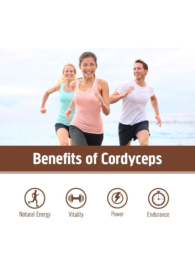 OM Cordyceps Organic Mushroom Powder 100g - Image 5