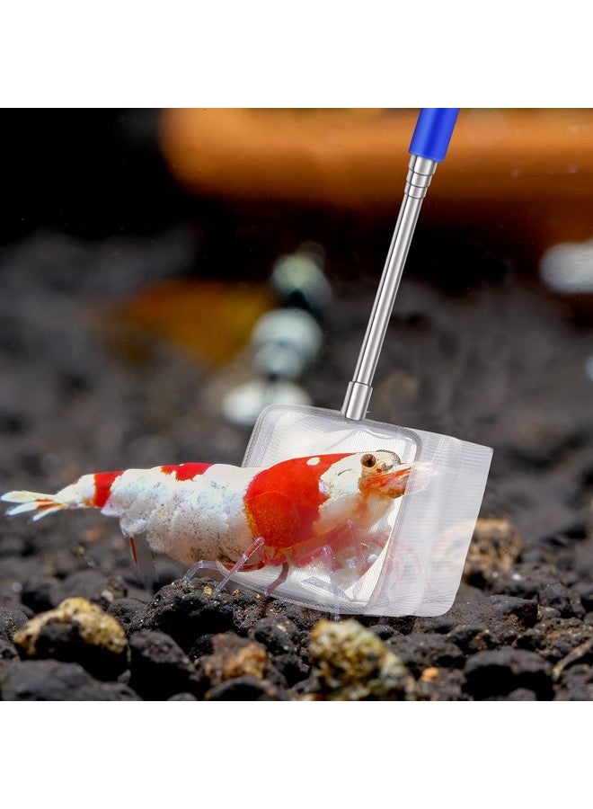 شابي 4 قطع من شبكة صيد الروبيان لحوض السمك بمقبض قابل للتمديد من الفولاذ المقاوم للصدأ وشبكة صيد صغيرة لحوض السمك مع مقبض قابل للتعديل لحوض السمك والبركة (أزرق) - Image 5