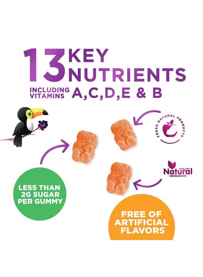 Nature's Nutrition Multivitamin for Kids - Complete daily multivitamin gummies for kids with Vitamin D, B Vitamins, Zinc and more - Energy, Memory, Focus and Immune Health. - Image 5