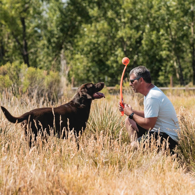 Chuckit! Sport 26L Dog Ball Launcher - Includes a 3-inch Diameter Large Ball for Dogs 60-100 Pounds - Manual Thrower for Dog Balls With a Slim Ergonomic Handle - 26-inch Length - Image 2