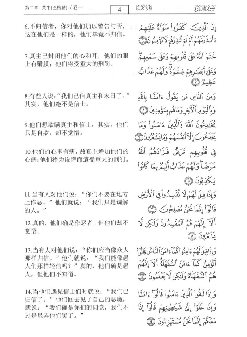 Translating the meanings of the Holy Quran into Chinese 24*17 - Image 3
