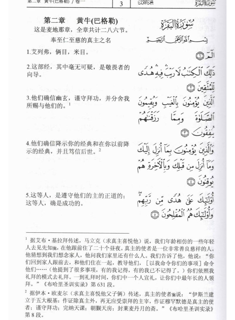 Translating the meanings of the Holy Quran into Chinese 24*17 - Image 4