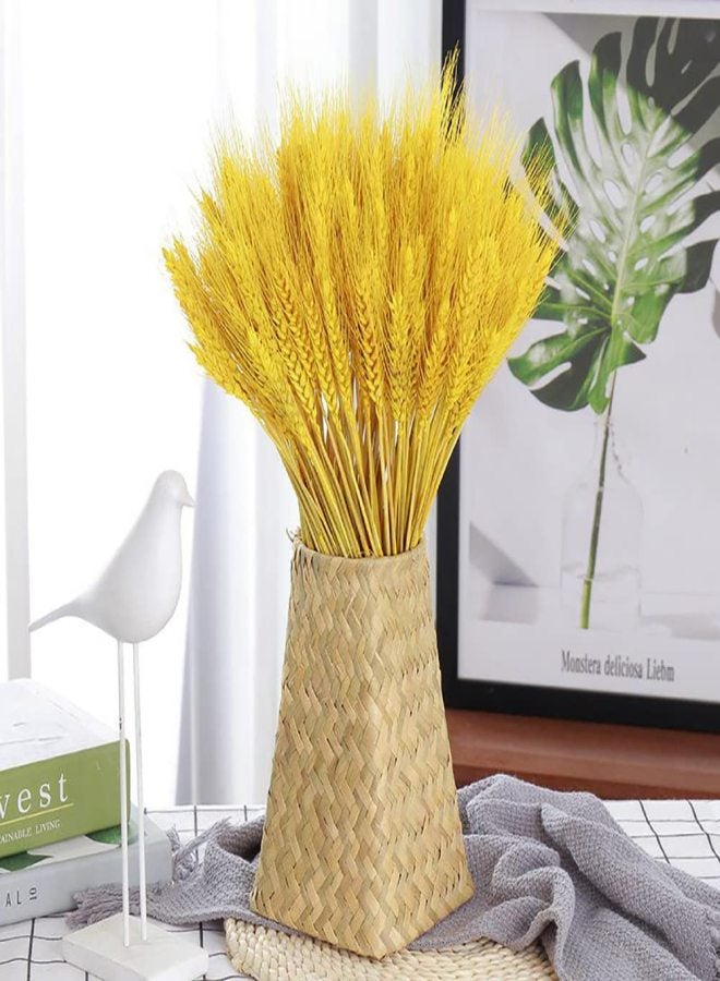 Wheat Stalks, 100Pcs Natural Ear of Wheat Grain Flowers for Home Dining Table Arrangement Flower Art Wedding Decoration - Image 3