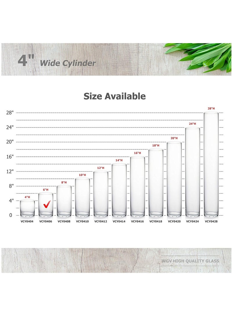 HOME ZONE Cylinder Vase 4" W x 6" H Floral Container Glass Candle Holder Centerpiece Planter Terrarium for Wedding Party Event Home Office Decor Clear - Image 3