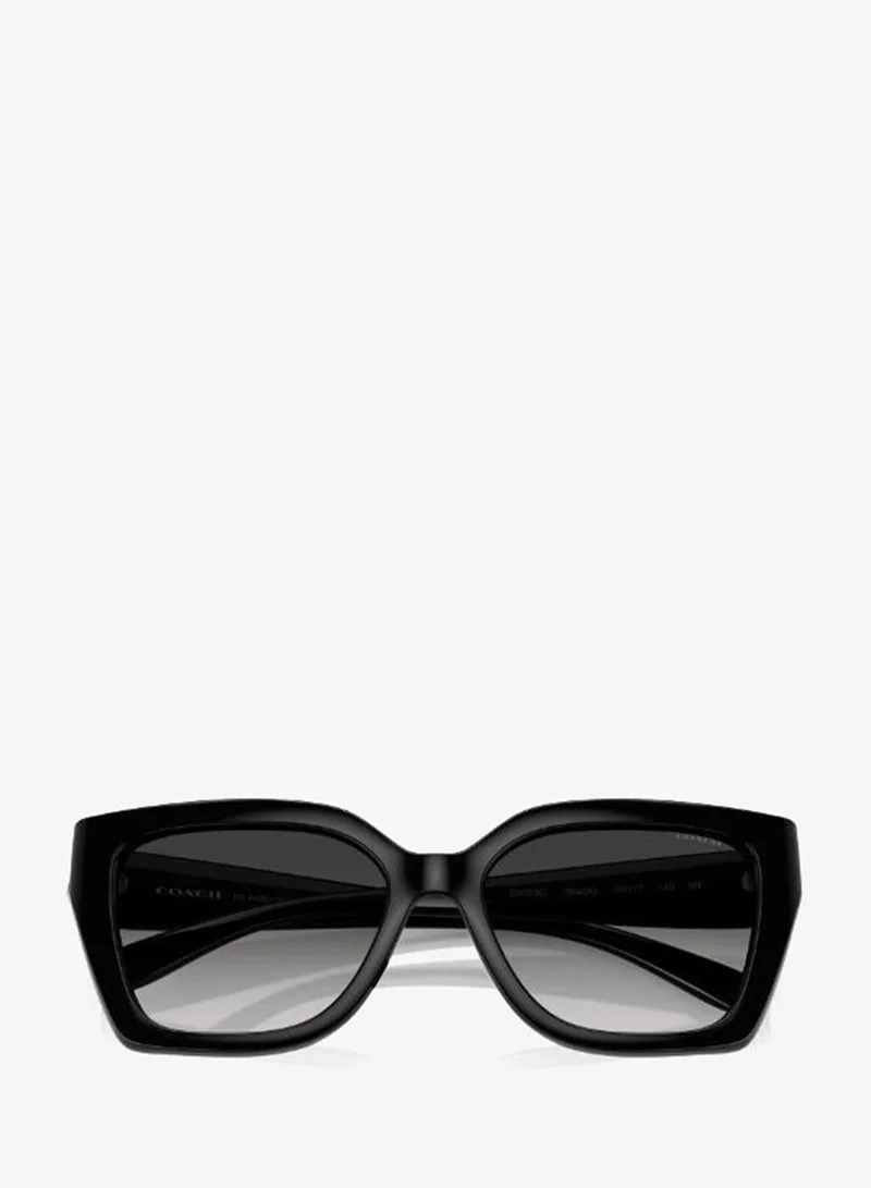 Coach  0Hc8408U Pentagon Sunglasses for Women | Best Price UAE