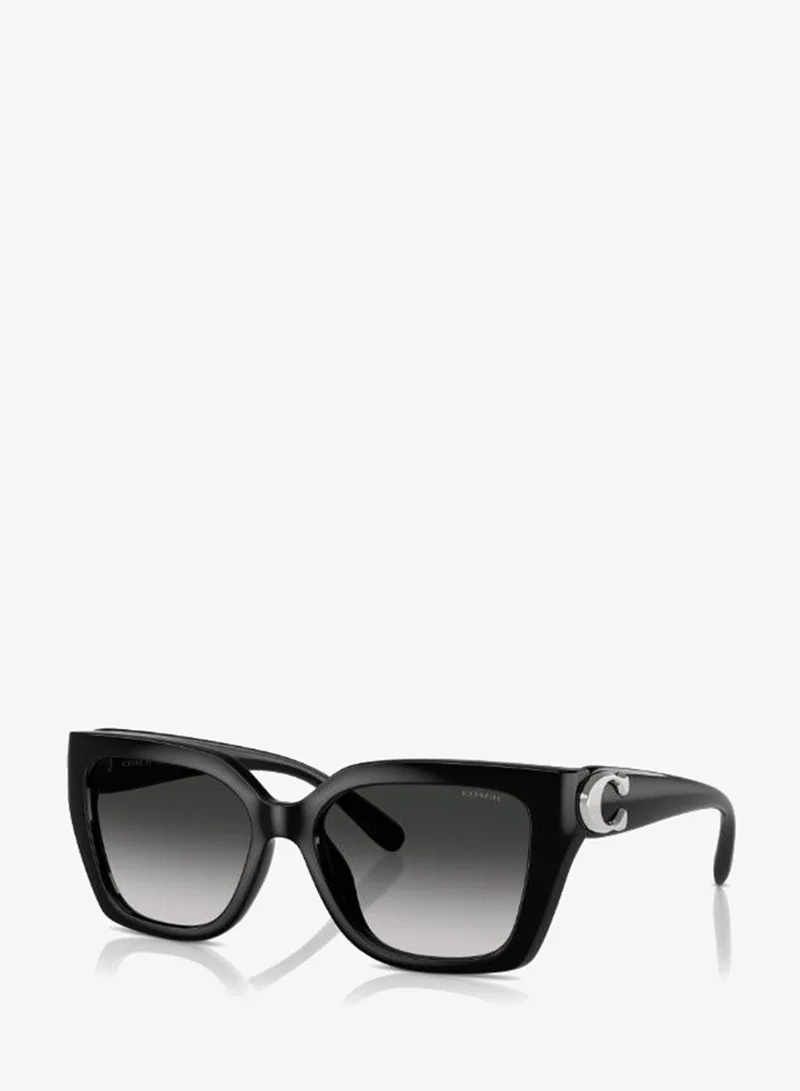 Coach  0Hc8408U Pentagon Sunglasses for Women | Best Price UAE