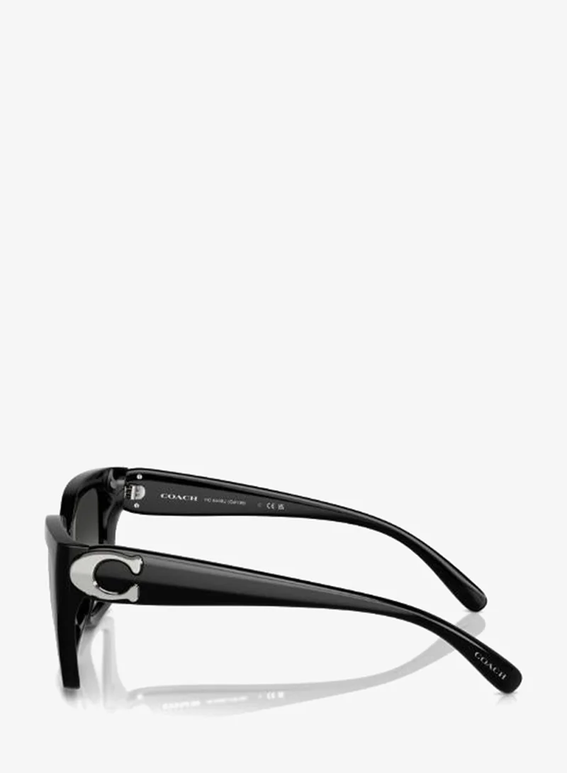 Coach  0Hc8408U Pentagon Sunglasses for Women | Best Price UAE