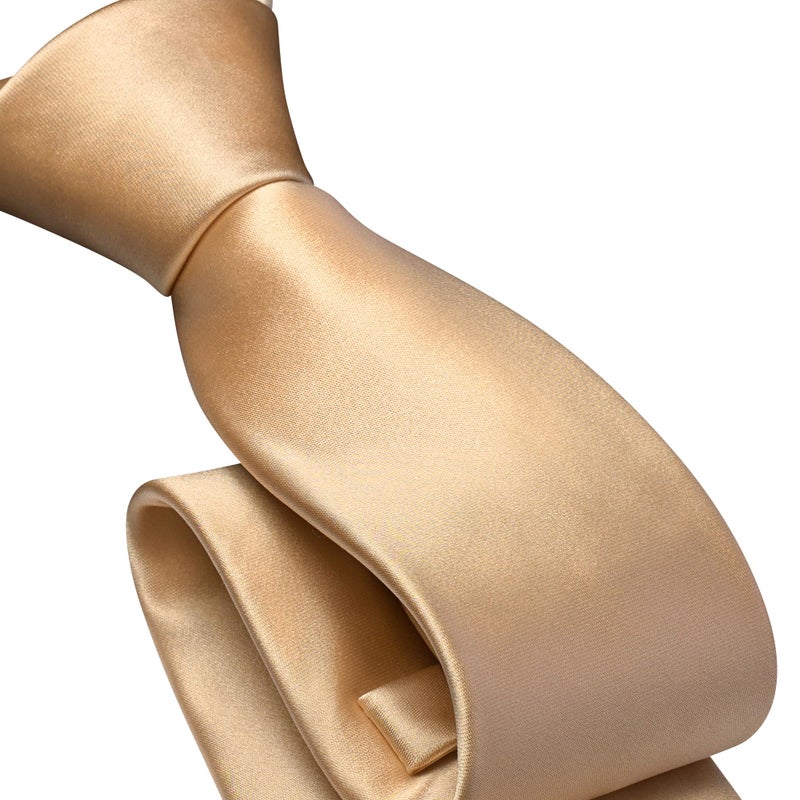 Branduce Mens Champagne Gold Tie for Wedding Pre-tied Adjustable Zipper Necktie Pocket Square and Lapel Pin Brooch Set (TA19-10) - Image 3