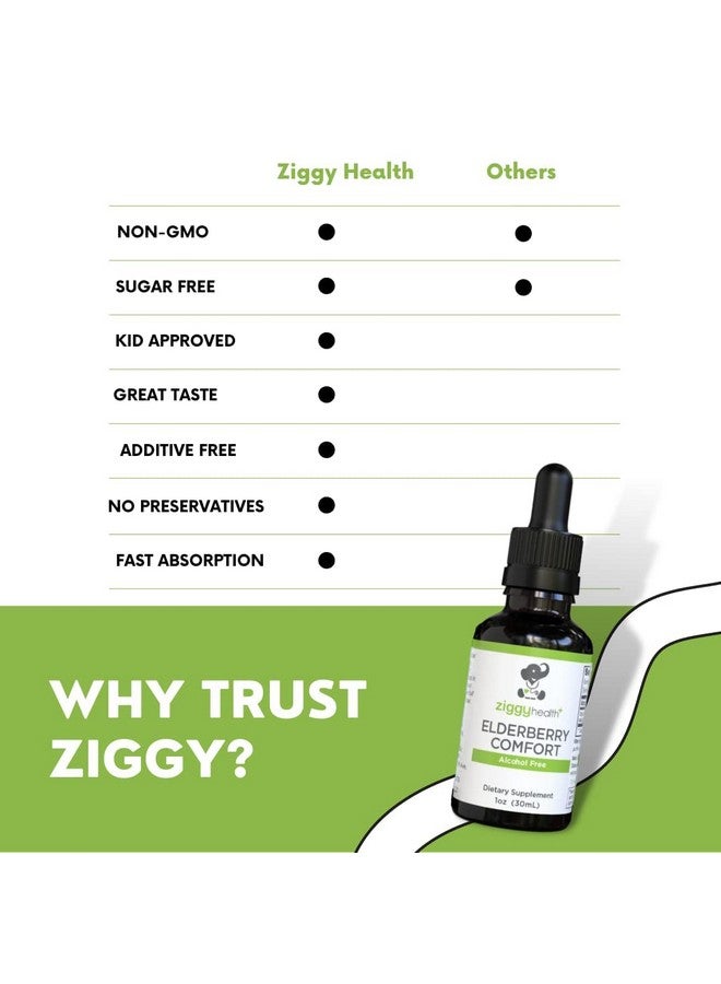 Ziggy Baby صبغة البلسان العضوي - مستخلص البلسان - قطرات البلسان السائلة، دعم المناعة، دعم الجهاز التنفسي والدفاع، 1 أونصة - زيغي هيلث - Image 5