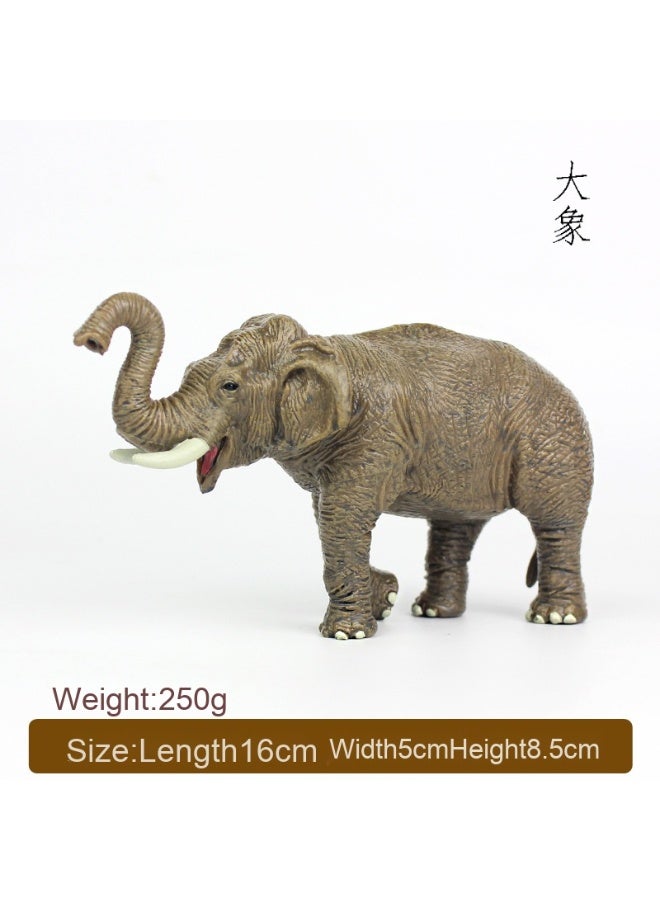 NIBEMINENT Realistic Zoo Model of African and Asian Elephants - Elephant Figurine