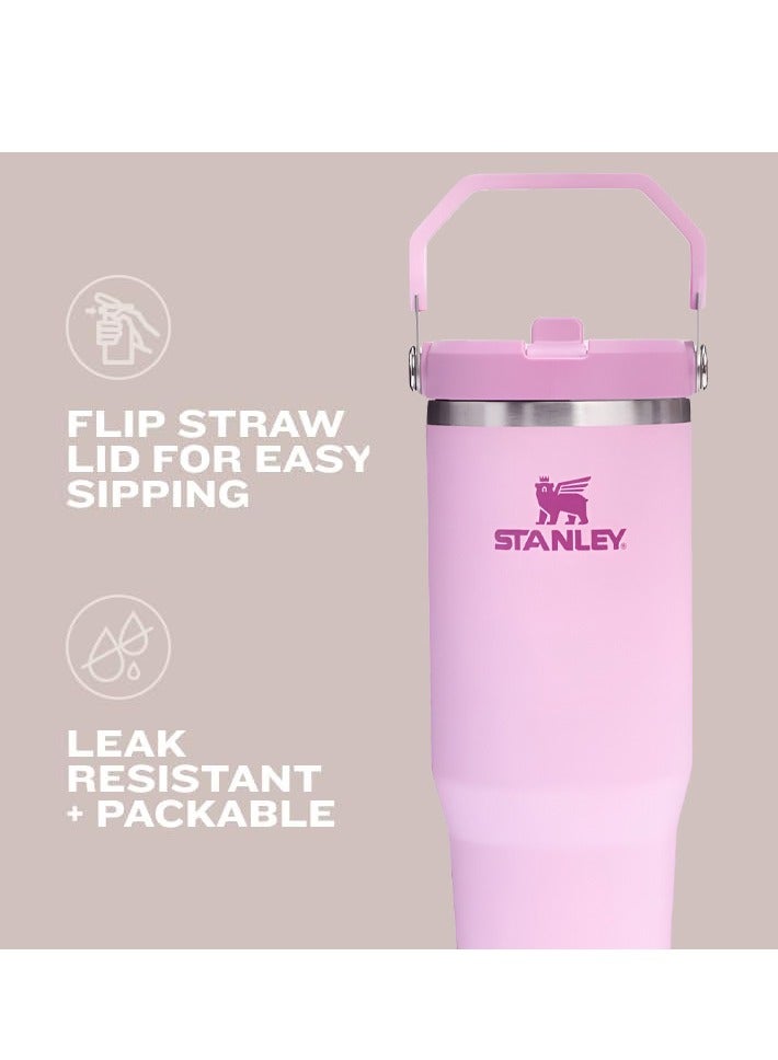 Stanley IceFlow 30oz Flip Straw Tumbler Winter Stainless Steel Vacuum Insulated Water Bottle with Leakproof Lid Foldable Handle Keeps Drinks Cold for 12 Hours - Image 5