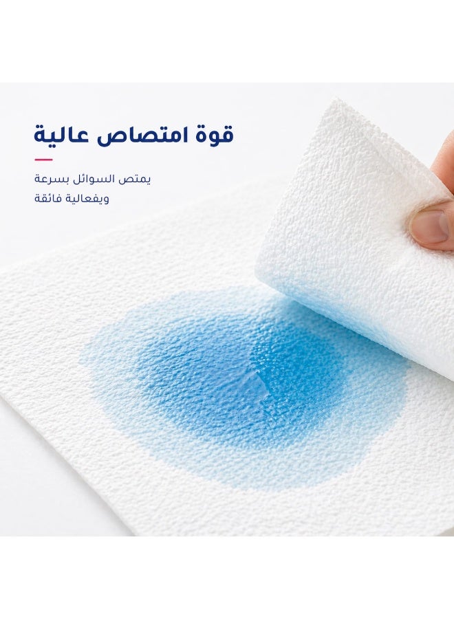 سانيتا ورق نشاف 150منديل*24عبوة - Image 4
