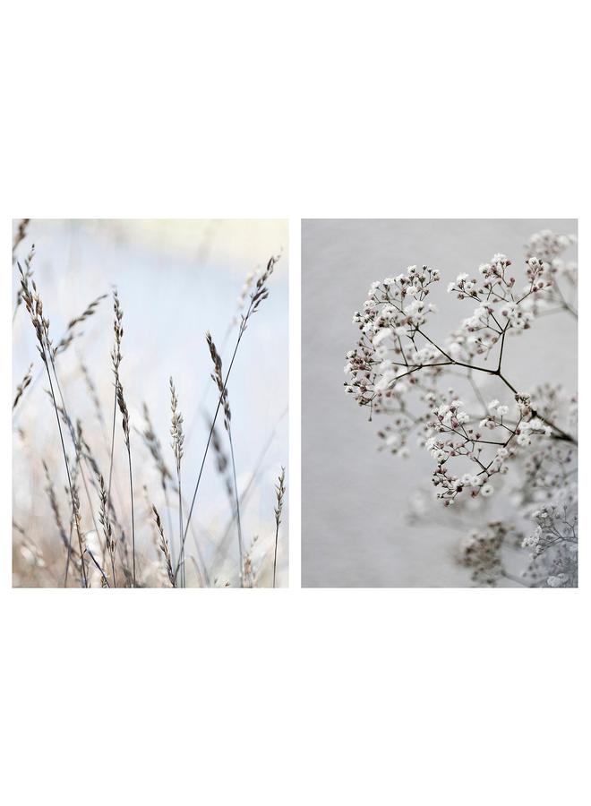 زبون صورة، مجموعة من 2، عشب المرج، 30 × 40 سم - Image 1