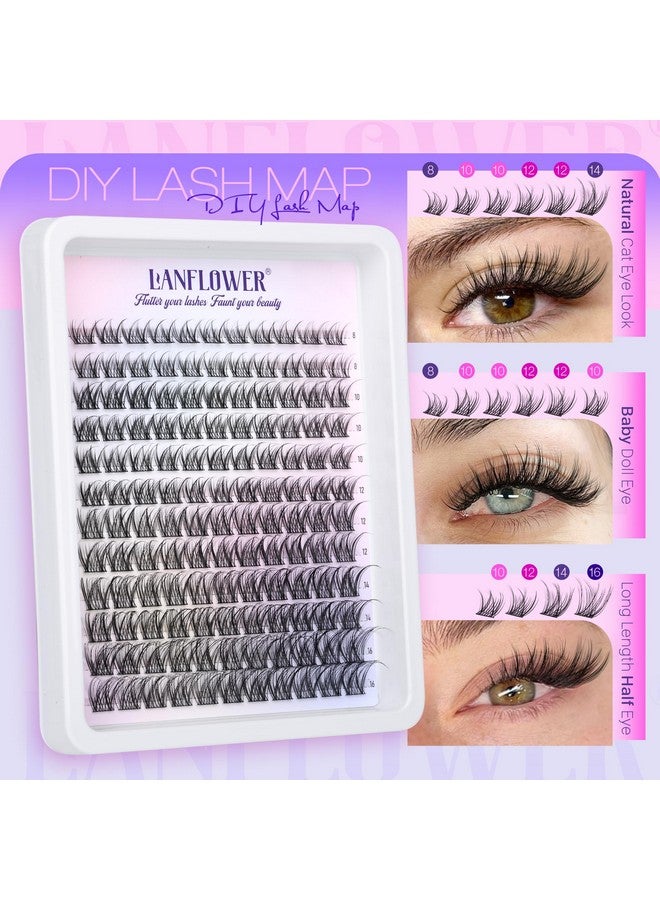 Lanflower Lash Clusters Kit Wispy Lash Extension Kit C Curl Eyelash Clusters Kit Natural Cluster Eyelash Extensions Kit 8-16mm Individual Lashes with Lash Bond and Seal Lash Tweezers - Image 2