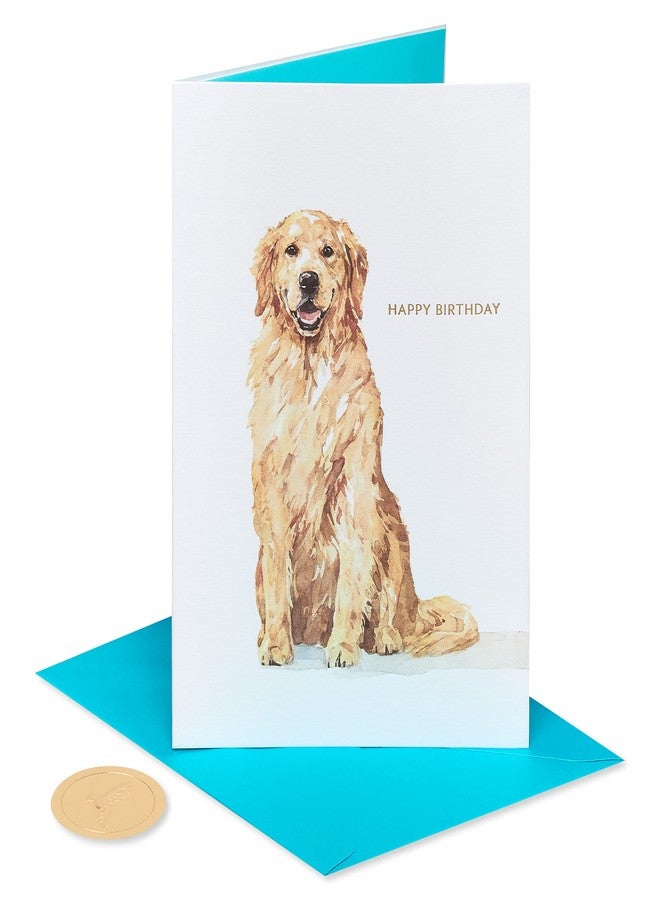 Papyrus Dog Birthday Card (Celebrate and Enjoy) - Image 4