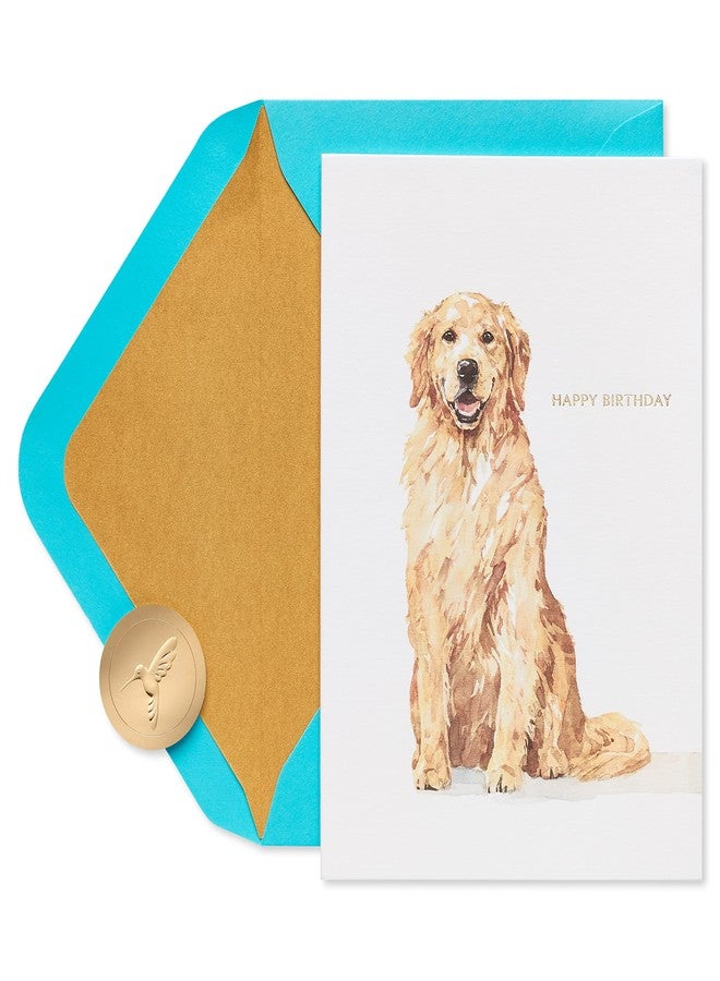 Papyrus Dog Birthday Card (Celebrate and Enjoy) - Image 1