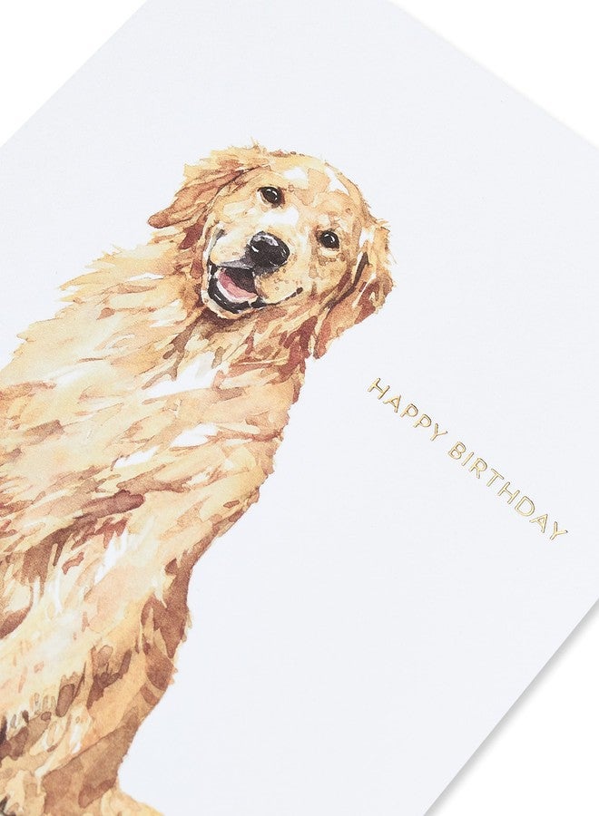 Papyrus Dog Birthday Card (Celebrate and Enjoy) - Image 5