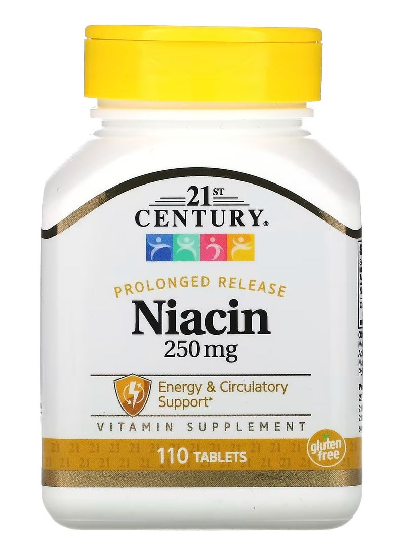 القرن الحادي والعشرون القرن الحادي والعشرين، النياسين، إطلاق مطول، 250 ملغ، 110 أقراص - Image 1