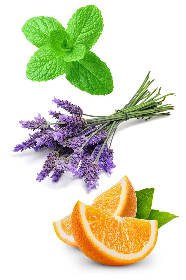 DoTerra زيت أساسي مزيج دوتررا أدفاتيف المهدئ 15 مل - Image 2