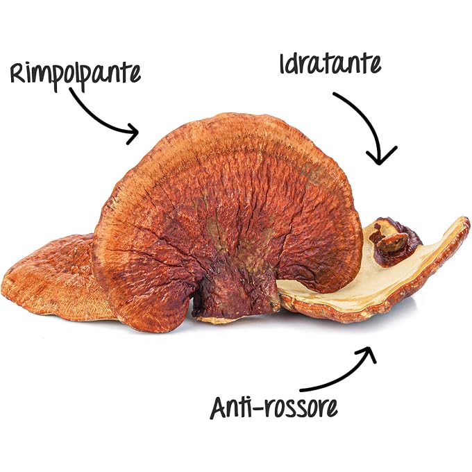 dr.organic Reishi Instant Hydrating Lotion - Image 3