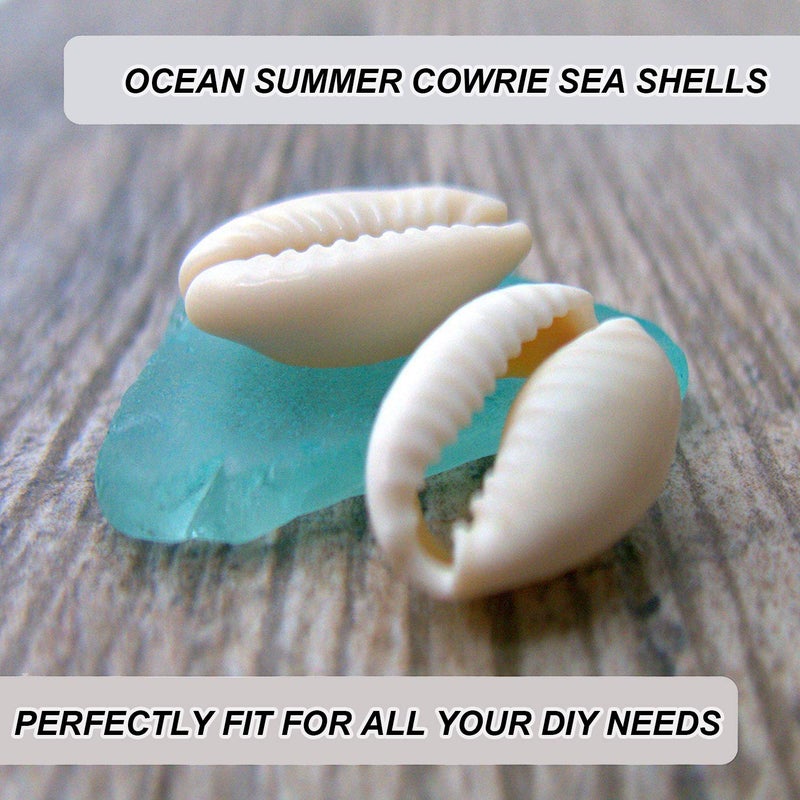 DINGPAI 100Pcs Cowrie Shell Beads, White Natural Spiral Shell Bead for Jewelry Making, Summer Beach Cowrie Shells for DIY Craft Bracelets, Necklaces, Anklets - Image 4