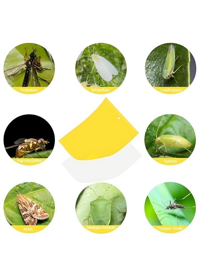 10Pcs Yellow Double-sided Sticky Traps For Bug, Fly Trap, Insect Trap, Catch Multiple Flying Insects With Natural Mold Control Sticker, Perfect For Gardening 25cmx20cm - Image 2