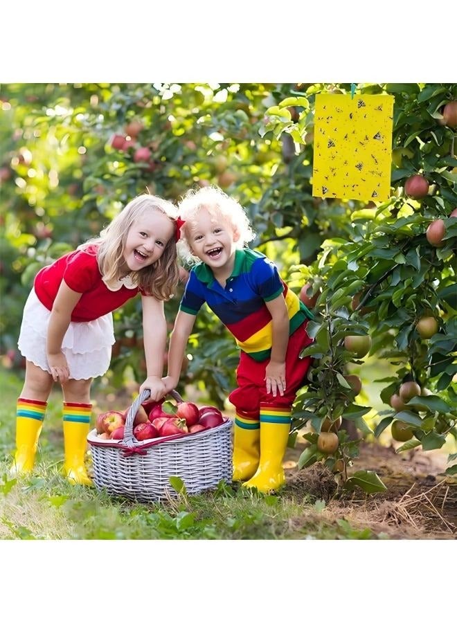 10Pcs Yellow Double-sided Sticky Traps For Bug, Fly Trap, Insect Trap, Catch Multiple Flying Insects With Natural Mold Control Sticker, Perfect For Gardening 25cmx20cm - Image 5