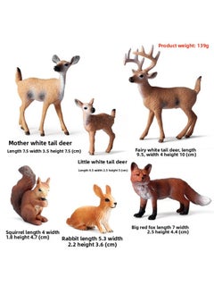 Simulation Solid White-tailed Deer Squirrel Fox Rabbit Wild Jungle Moving Suit Model Children's Toys-Color:White-tailed Deer Squirrel Red Fox Rabbit 6 Sets