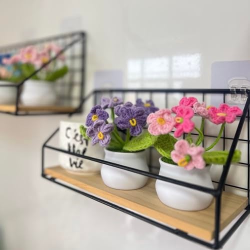 MofivKce Crochet Forget-Me-Not Potted Plants Handmade Artificial Flowers for Home Decor, Wedding, Birthday Gift for Friends and Family (Gradient Pink) - Image 4