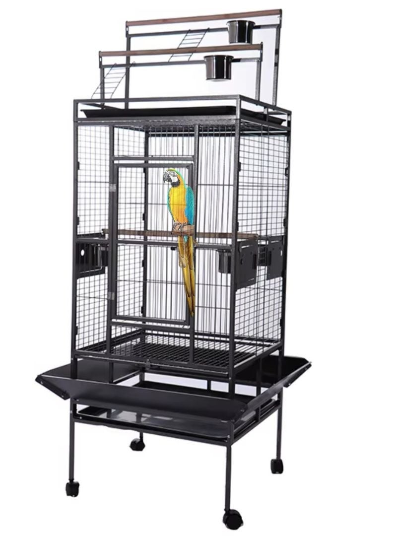قفص ببغاء كبير مع حامل فاخر وحاوية طعام وعصا خشبية، مناسب للببغاوات الكبيرة مثل الكاسكو كوكاتو، والكونيور، والببغاء البادجي، وطيور الحب فيشر، والكوكاتيل. مصنوع من مواد عالية الجودة، قوي ومتين للاستخدام، يتضمن القفص 4 أكواب فولاذية صلبة وكبيرة الحجم، و3 مجثمات خشبية وحامل علوي. شبكة سفلية قابلة للإزالة وصينية قابلة للسحب لسهولة التنظيف. أبعاد المنتج بعد التجميع: 173*81*76 سم. يمكن استخدامه كهدية لطيفة لعائلتك وأصدقائك. - Image 3