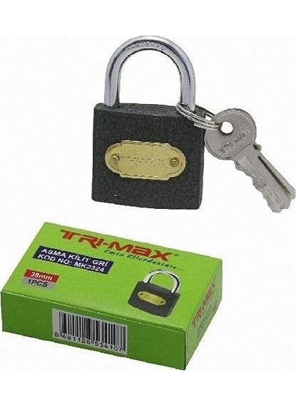 Padlock Gray 38 mm Tri-Max - pzsku/Z65B93AB4B9A089D2E645Z/45/_/1730521093/39a6ac34-16a4-4ab1-a751-902f317d79d2