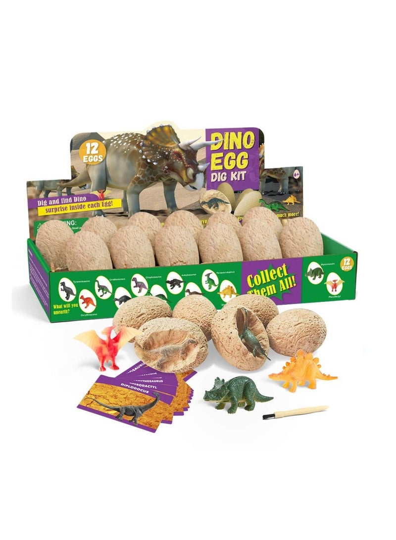 Dinosaur Eggs Dig Kit 12 Pack Discover 12 Different Dinos Archaeology and Paleontology Toy Dino Egg Excavation Kit - Image 1