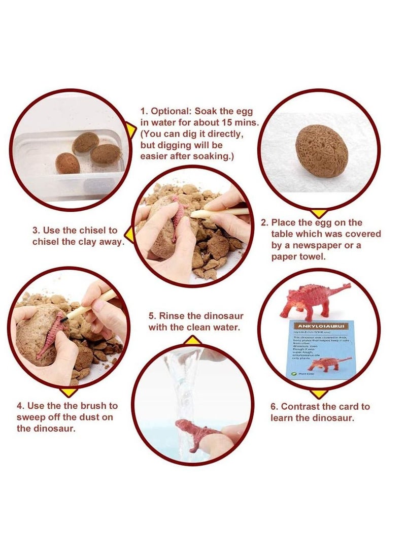 Dinosaur Eggs Dig Kit 12 Pack Discover 12 Different Dinos Archaeology and Paleontology Toy Dino Egg Excavation Kit - Image 5
