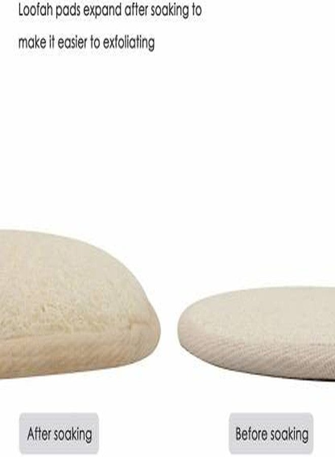 OOFY Loofah (Pack of 20) - Image 2