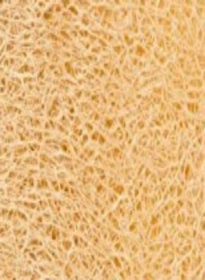 OOFY Loofah (Pack of 20) - Image 4