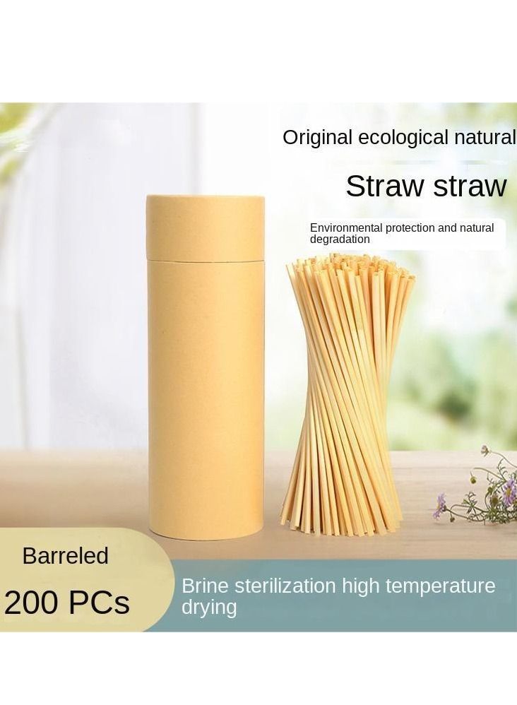Y&D 200-Piece Plant Wheat Straws Set - Image 1