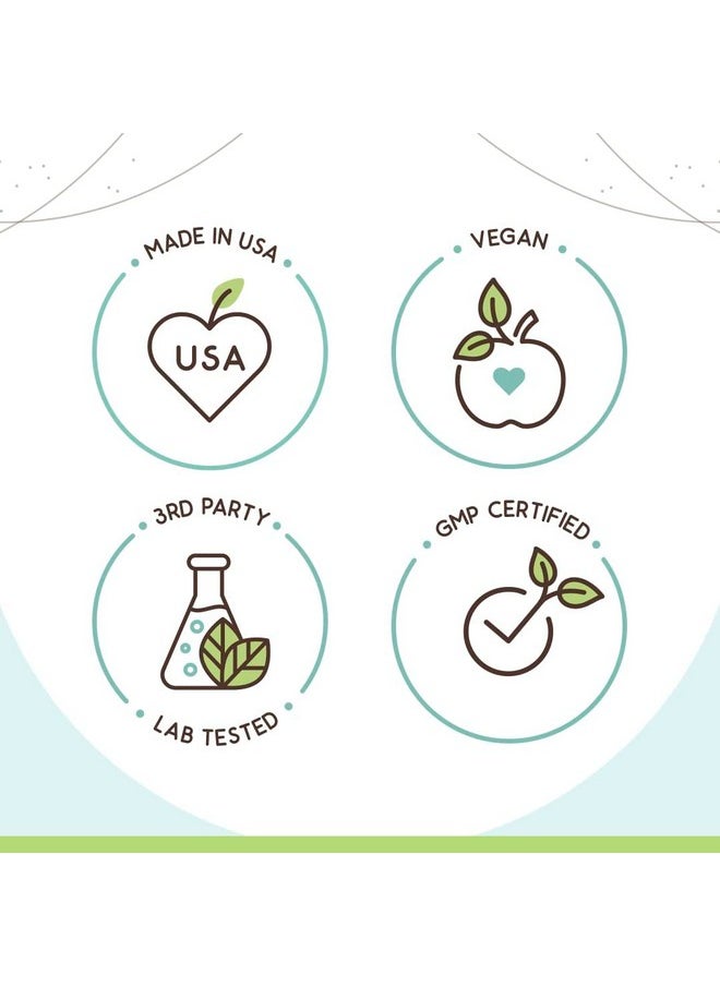 HerbEra HerbEra Bacopa B60 Alcohol-Free Herbal Extract Tincture, Concentrated Liquid Drops Natural Bacopa (Bacopa Monnieri) Dried Herb 2 fl oz  - Image 3