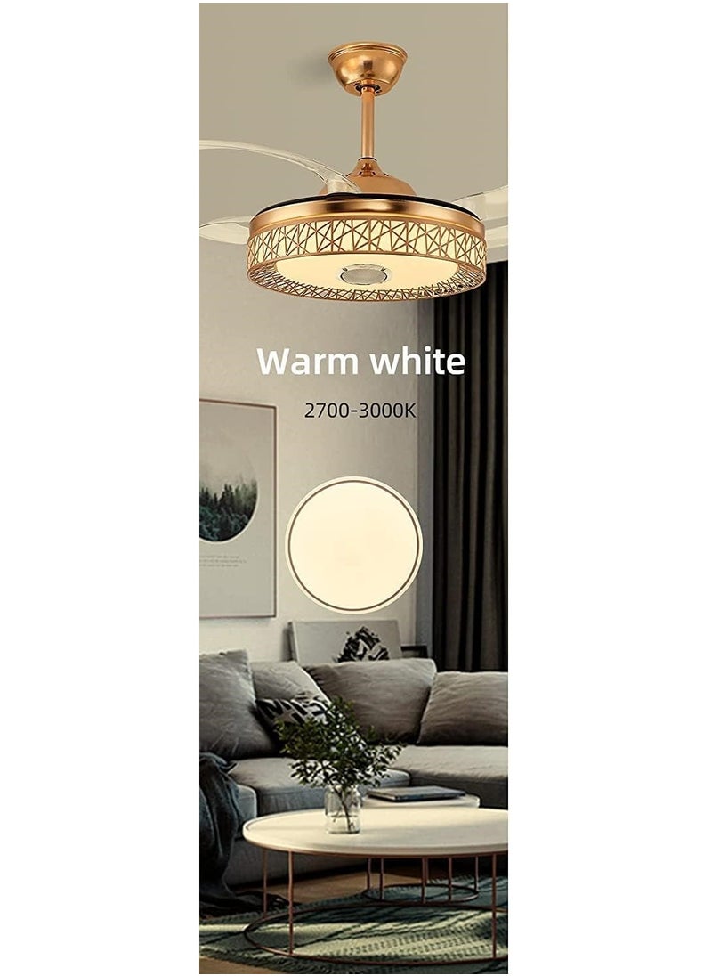 SUN SHINE - Ceiling Fan with LED light 3000K - Image 1
