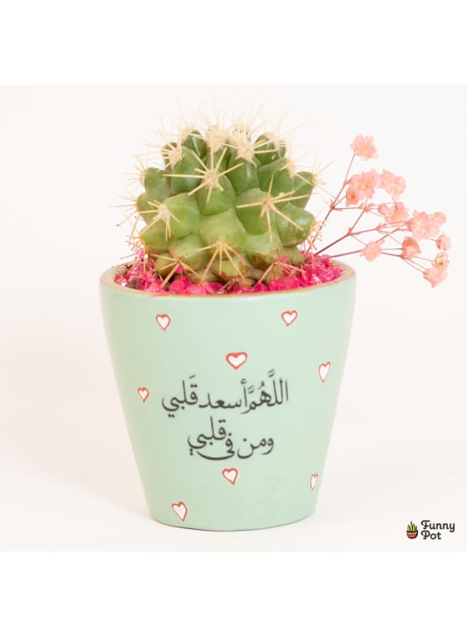 Funny Pot Cactus pottery pot 