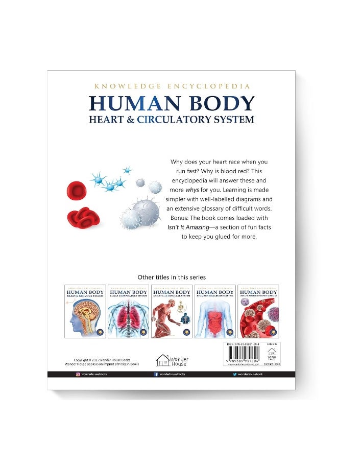 Human Body - Heart And Circulatory System: Knowledge Encyclopedia For Children  - Image 2