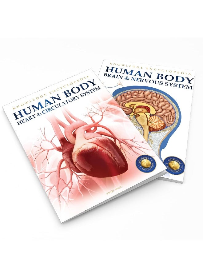 Human Body - Heart And Circulatory System: Knowledge Encyclopedia For Children  - Image 4