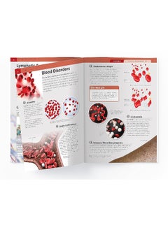 Human Body - Heart And Circulatory System: Knowledge Encyclopedia For Children  - Image 5