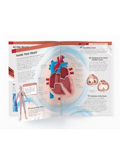 Human Body - Heart And Circulatory System: Knowledge Encyclopedia For Children  - Image 2