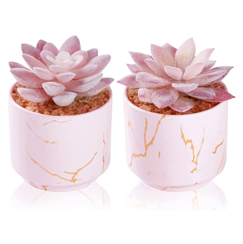 ZENIDA Succulent Artificial Plants Cute Fake Succulents in 2 Pink Ceramic Pots Small Fake Plants for Office Table Desk Bathroom  Bedroom Aesthetic Room Shelves Decor Desk Decorations for Women Office - Image 1