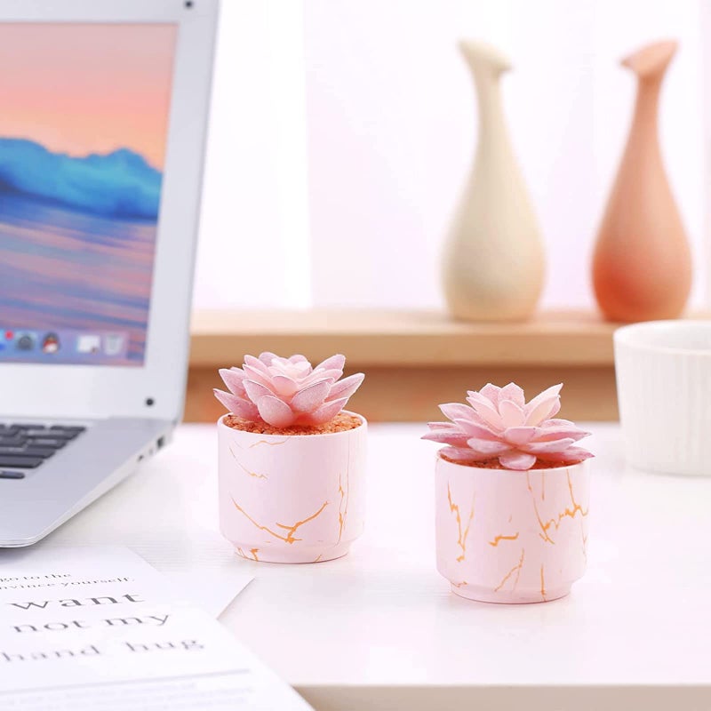 ZENIDA Succulent Artificial Plants Cute Fake Succulents in 2 Pink Ceramic Pots Small Fake Plants for Office Table Desk Bathroom  Bedroom Aesthetic Room Shelves Decor Desk Decorations for Women Office - Image 3