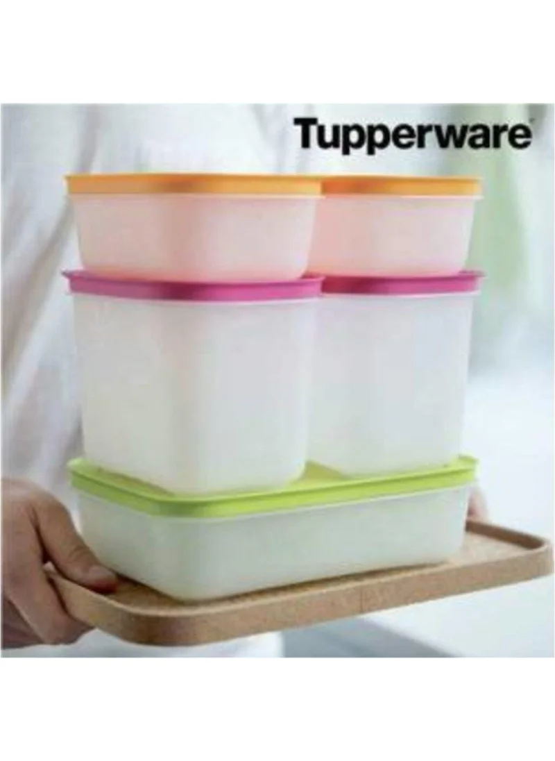 Ec Shop Mutfaktakimiracles Tupperware Alaska Set of 5 (For Deep Freezer)