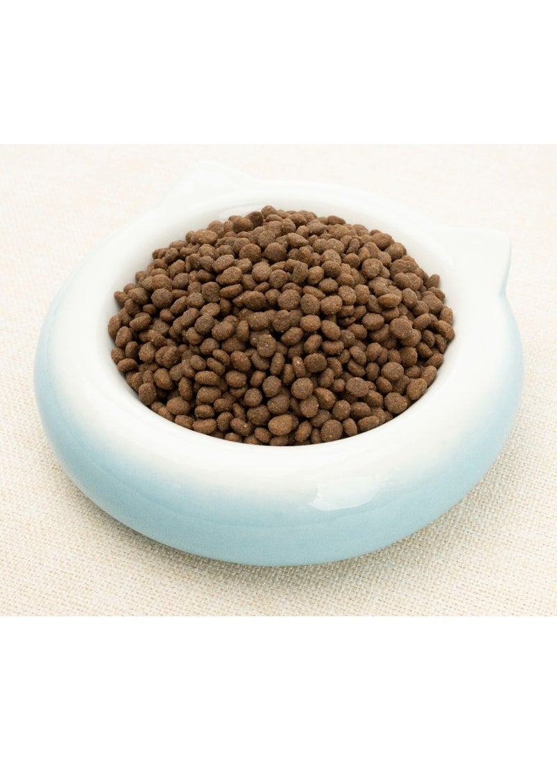 GOLDEN CAT - Golden Cat Beef Adult Dry Food - 3kg x 4 bag - Total 12 kg - Image 1