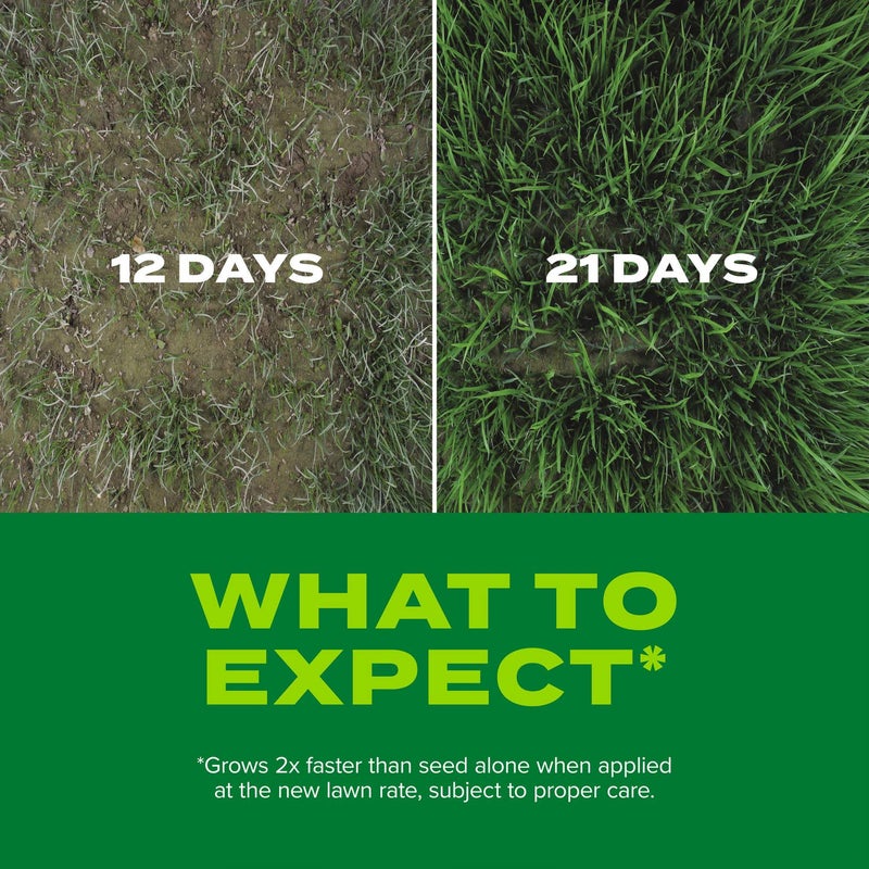 Scotts Turf Builder Rapid Grass Sun and Shade Mix, Combination Grass Seed and Fertilizer, Grows Green Grass in Just Weeks, 5.6 lbs. - Image 4