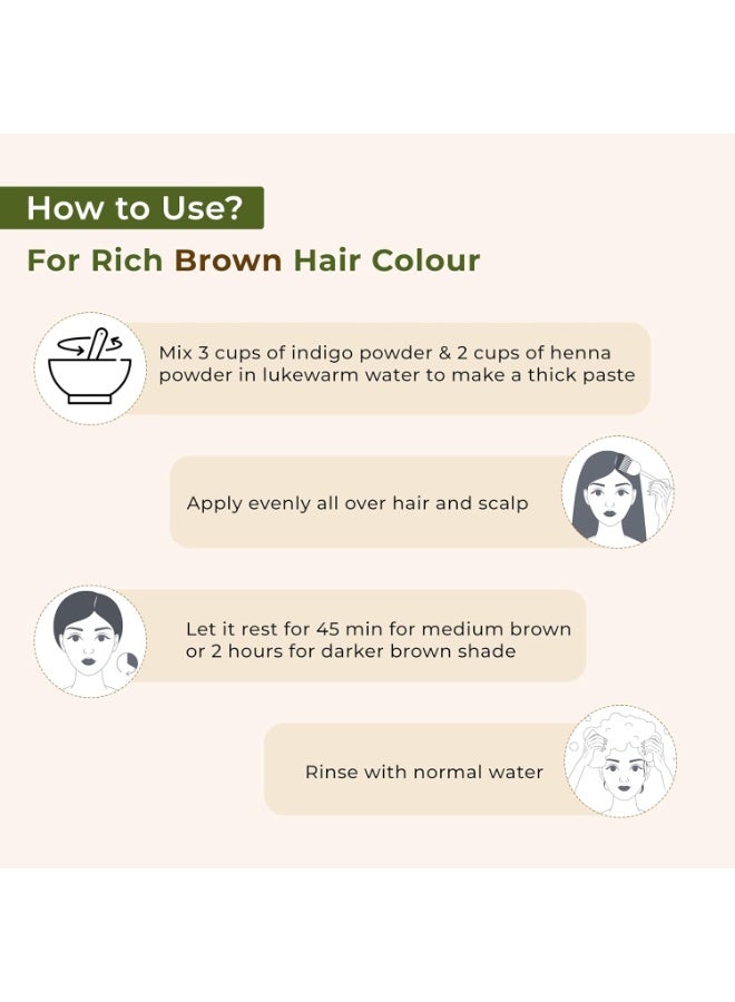 INDUS VALLEY Bio Organic 100% Pure Indigo Powder & Herbal Henna Powder Hair Color Combo Kit for Natural Hair Dyeing - Black, Indigo - 100 gm Each, Without Preservatives - Image 2